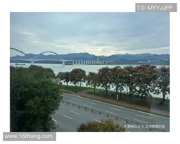 宝藏足球明星名单及其精彩瞬间全景展示合集